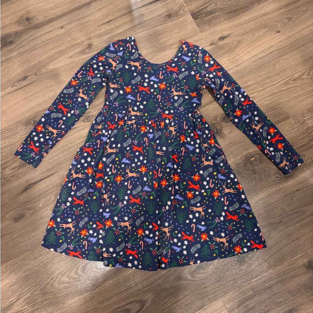 Hanna Andersson Blue Dress with Red and Green Accents